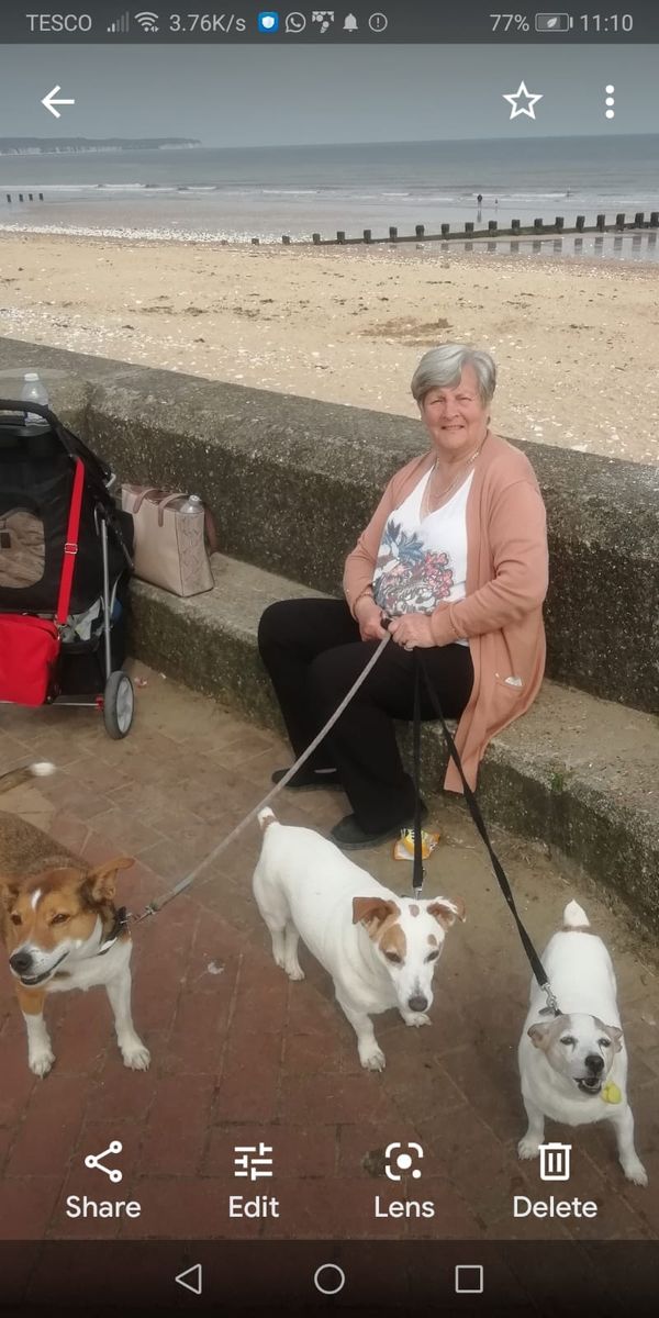Walking the dog by the sea