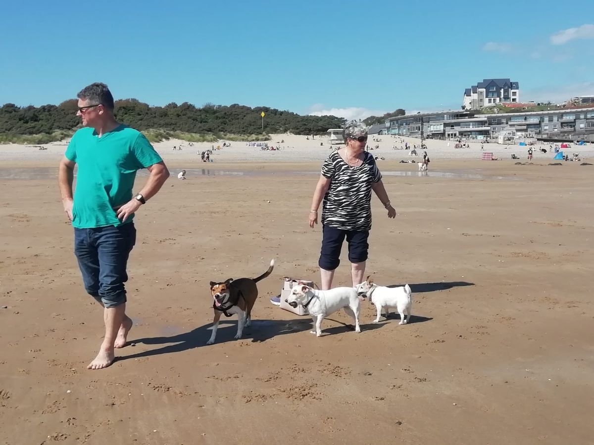 A walk along the beach