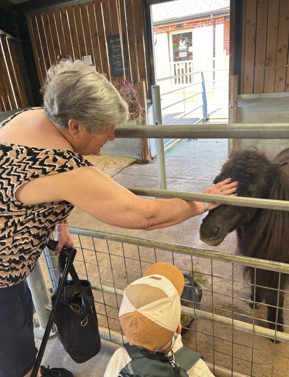 Meeting the ponies