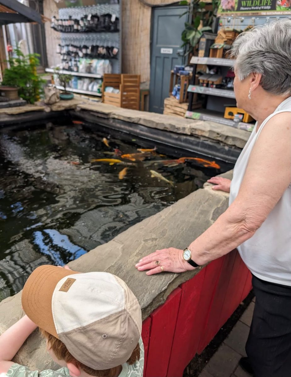 By the koi pond