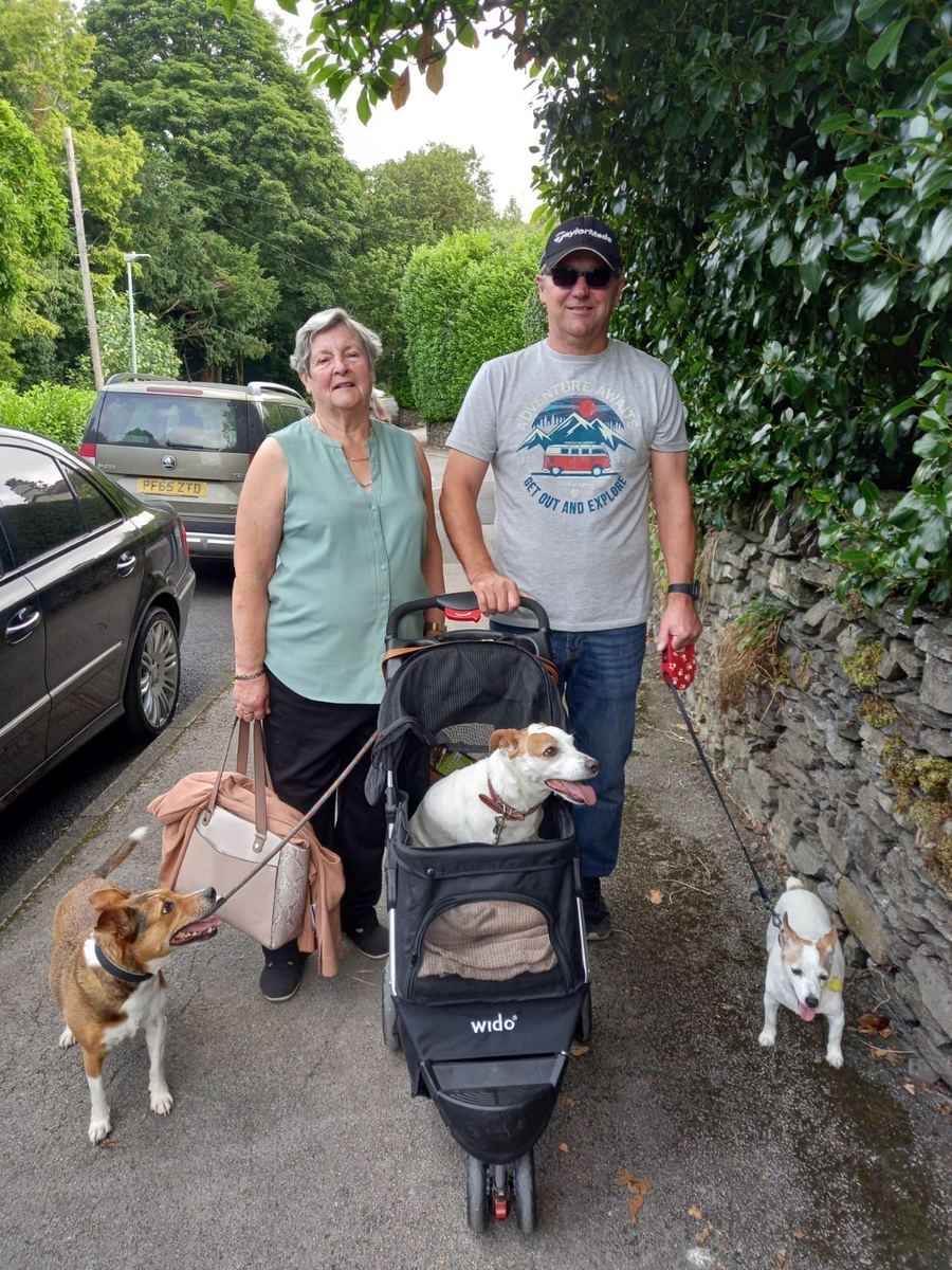 Walkies for everyone