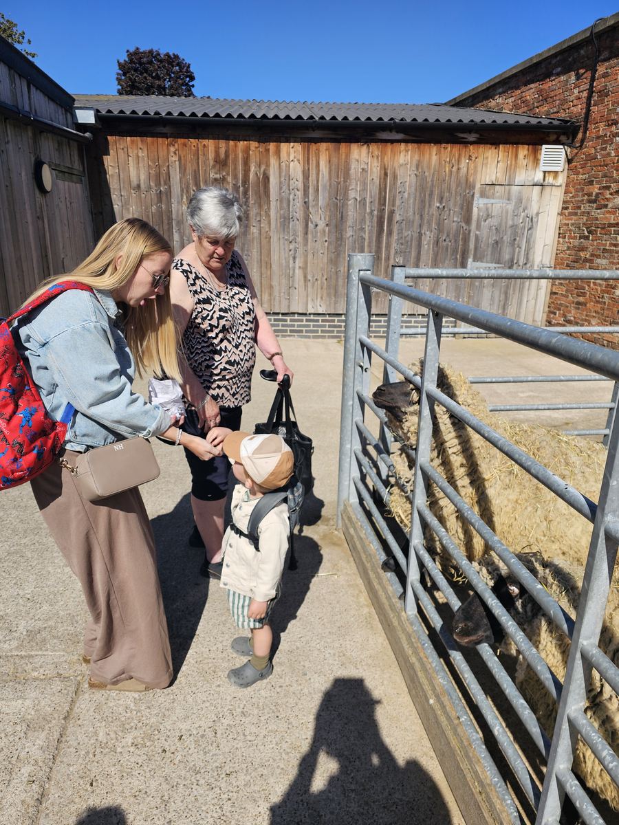 A day at the farm